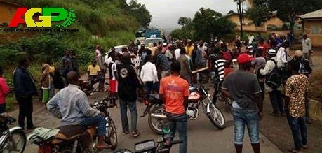 N’Zérékoré : Un vieux contentieux foncier ravive les tensions à Gouécké