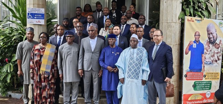 Guinée: La délégation de l’Union africaine reçue par le premier ministre