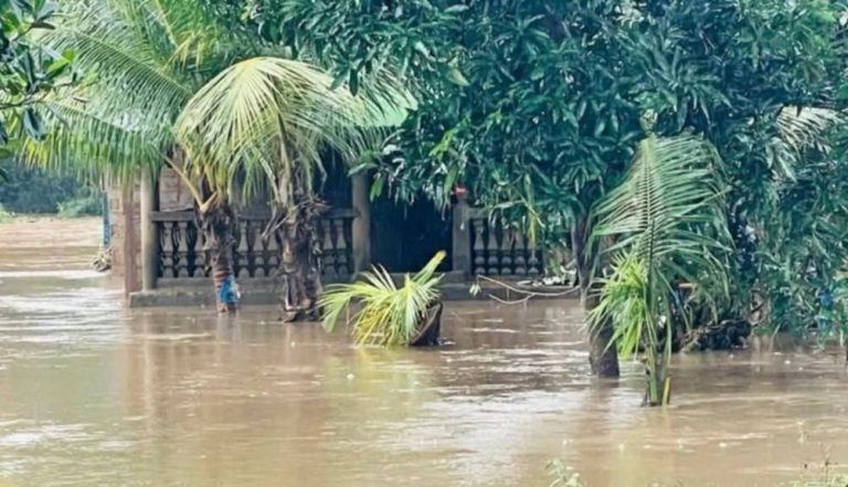 Coyah sous les eaux : un bébé de trois mois emporté par les inondations, des centaines de sinistrés et des dégâts colossaux