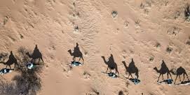 Mauritanie: l’AFP explore le désert et les trésors d’une ville oubliée (Reportage)