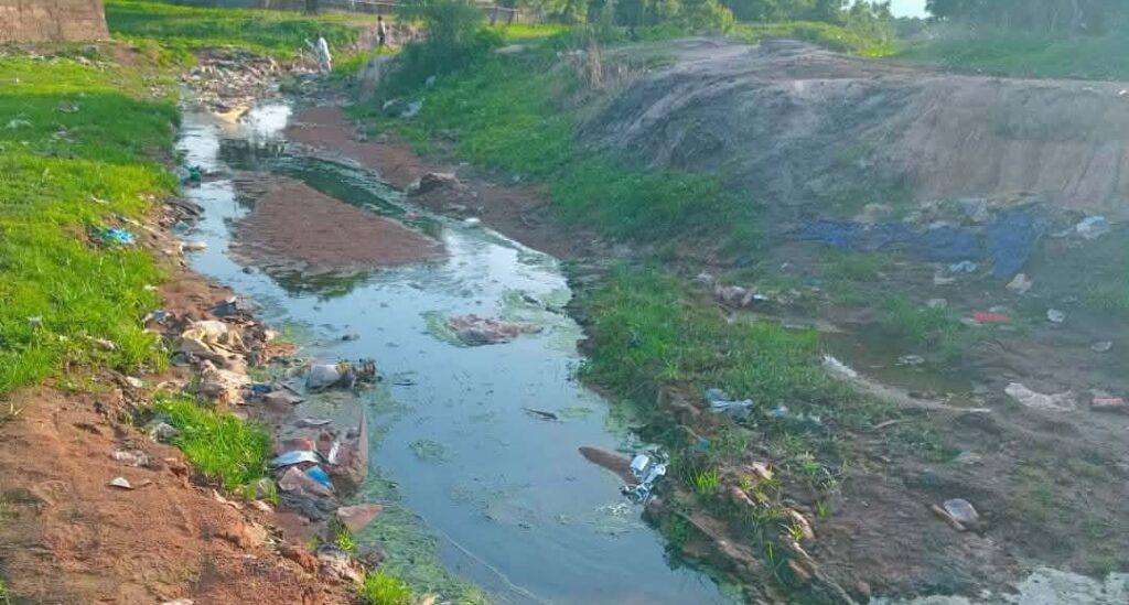 Koundara : La célèbre rivière Kolomba menacée de disparition