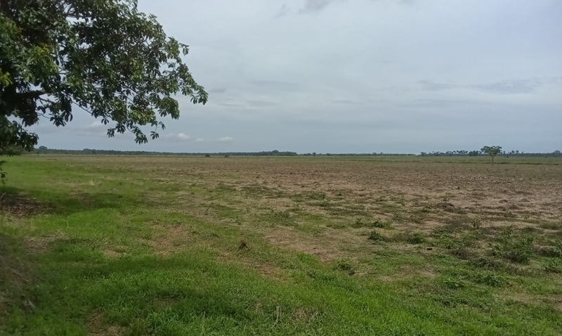Boffa : Cris de cœur des agriculteurs de Monchon confrontés à la baisse de productions