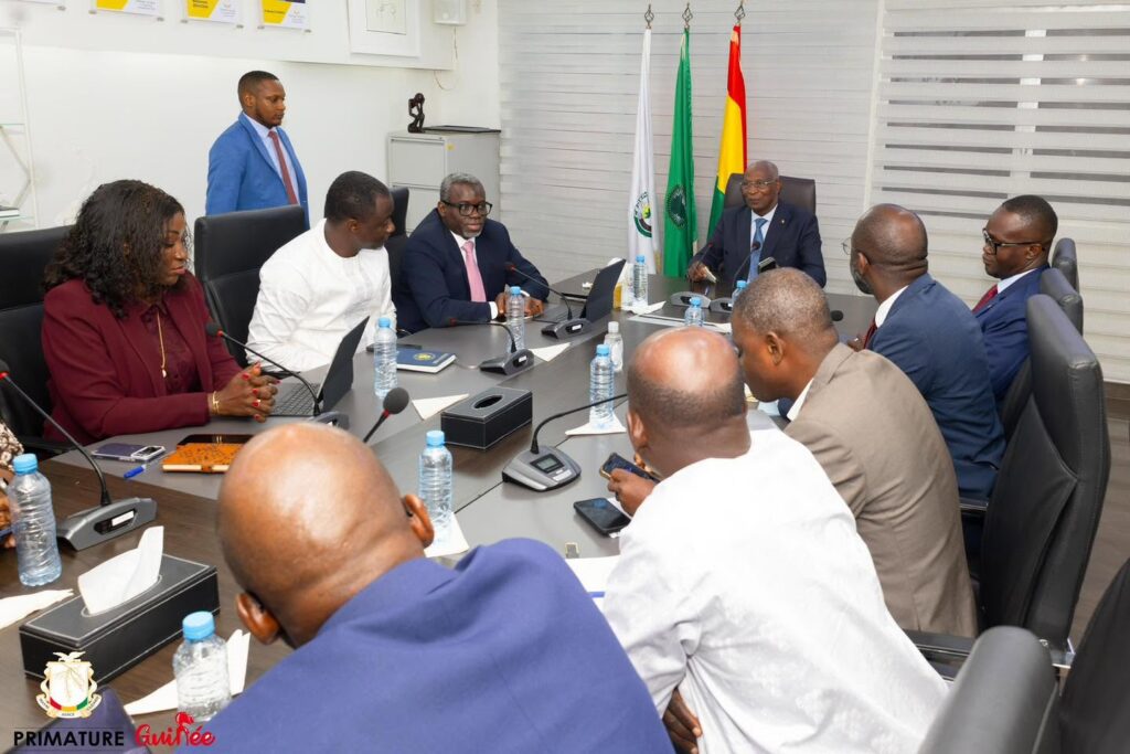 Conakry : Le PM préside la 8ème réunion du comité de pilotage de la plateforme TELEMO