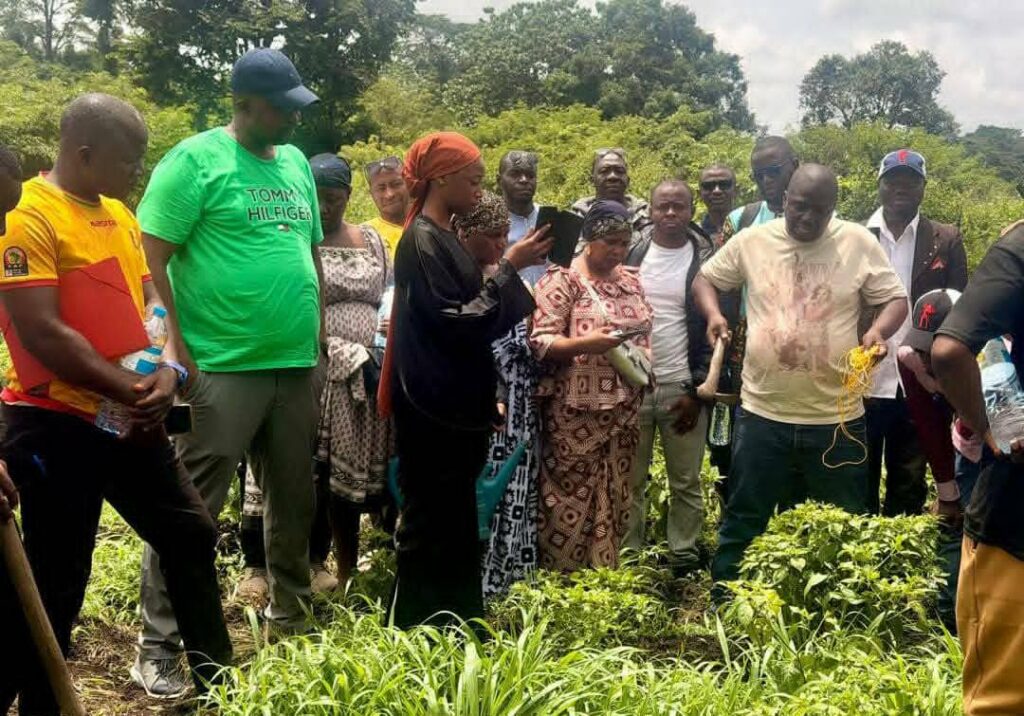 Mamou : 38 assistants d’accompagnement productif formés par l’ANIES