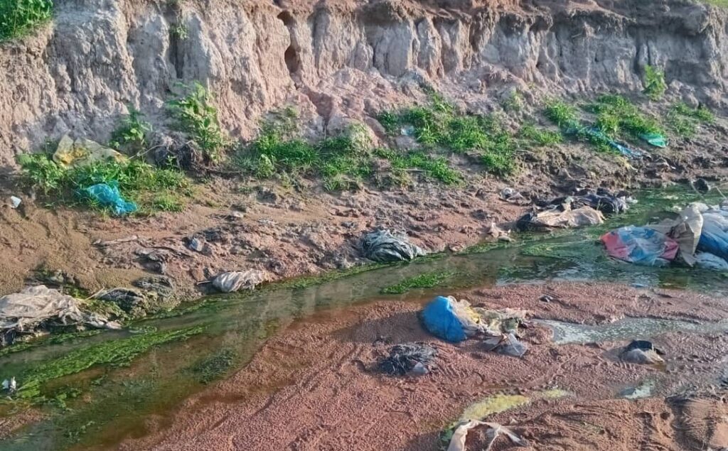 Koundara : La rivière Kolomba menacée par l’occupation des berges