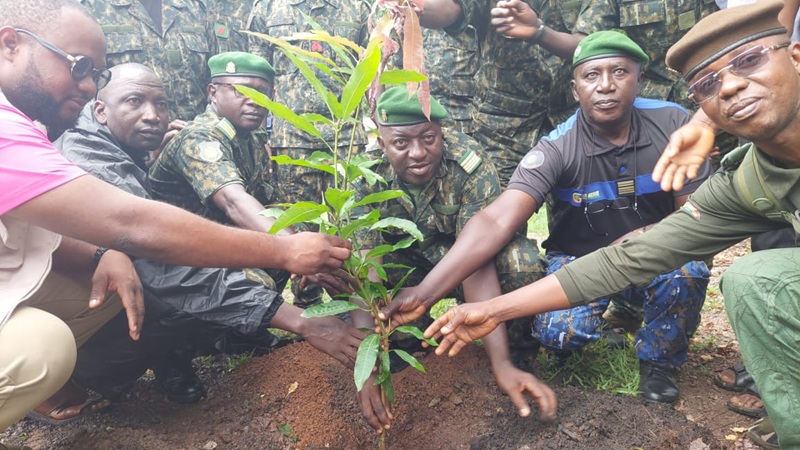 Dabola/Environnement : Plus de 300 plants mis en terre dans les espaces publics