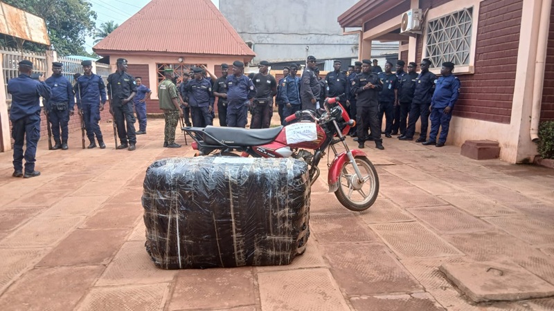 Kindia/Drogue: Saisie de plus de 150 Kg de chanvre indien