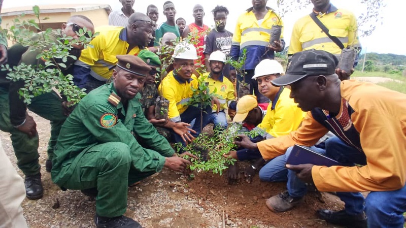 Forécariah/Environnement: 300 plants fruitiers mis en terre à Konsondougouyah