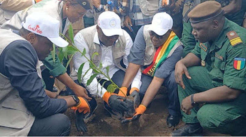 •	Kindia/Environnement : Le ministre Fassou Théa donne le coup d’envoi de la campagne nationale de reboisement 2026 à Friguiagbé