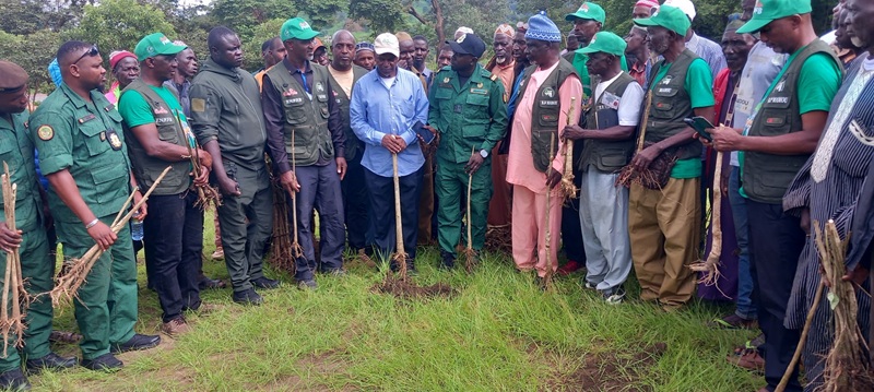Mamou : Plus de 3 500 plants de Mélina et de teck mis en terre par les professionnels de la filière bois à Ouré-Kaba