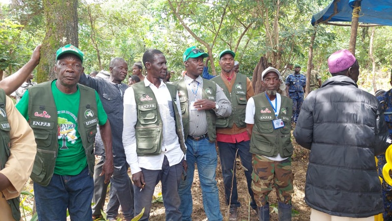 •	Dabola: La filière bois entame le reboisement de six hectares à N’Dèma