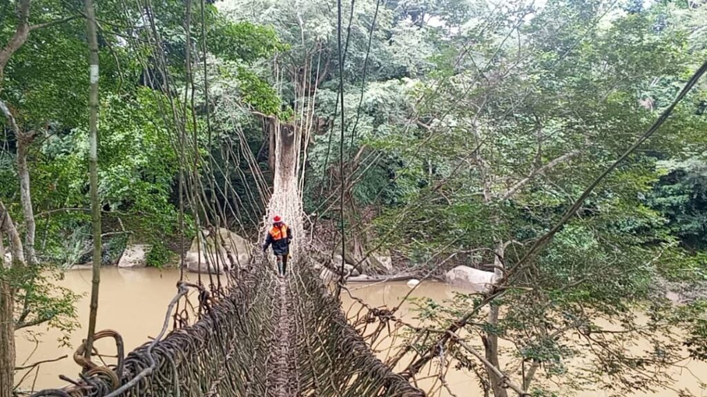 Yomou: Le pont de lianes de Gaoula, un patrimoine ancestral entre mystère, tradition et utilité communautaire