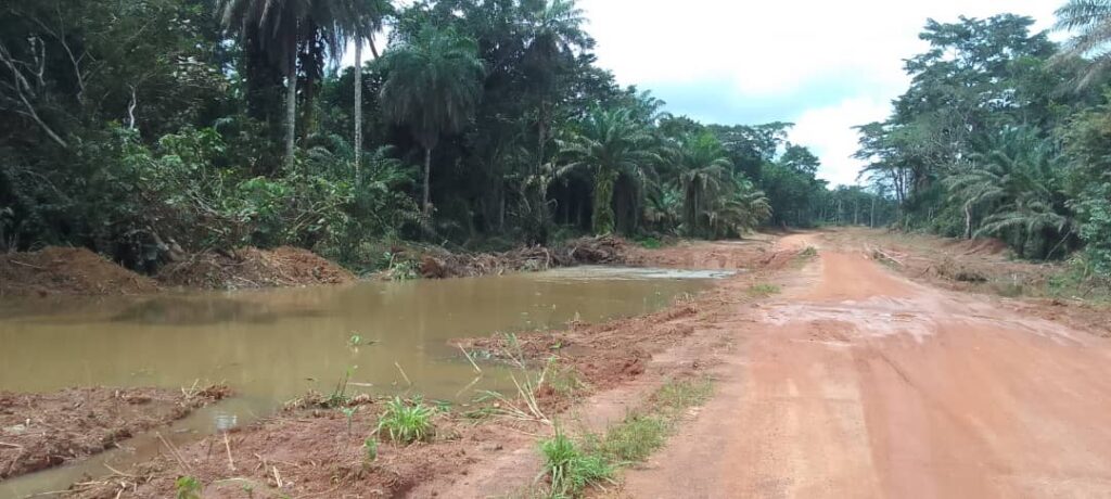 Yomou : Le pont de Péla exposé à un risque d’inondation sur l’axe Yomou-N’Zérékoré