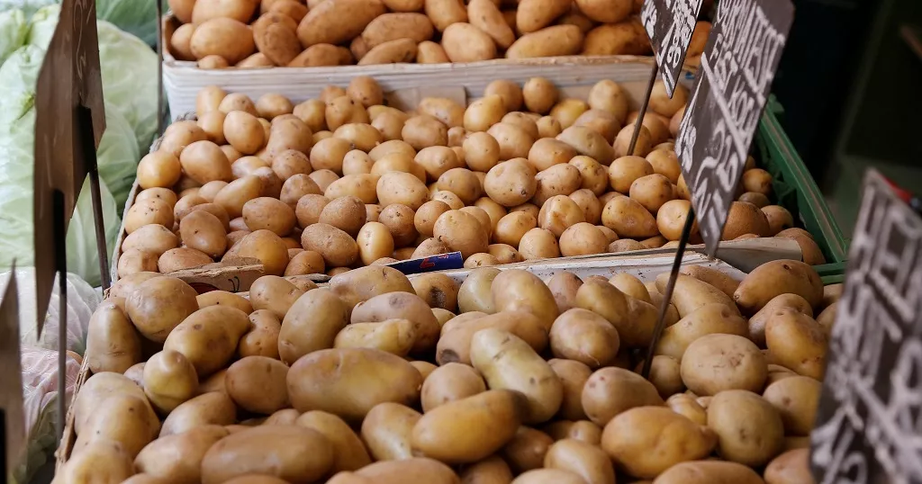 Mali : la fête de la pomme de terre mobilise autorités et acteurs agricoles